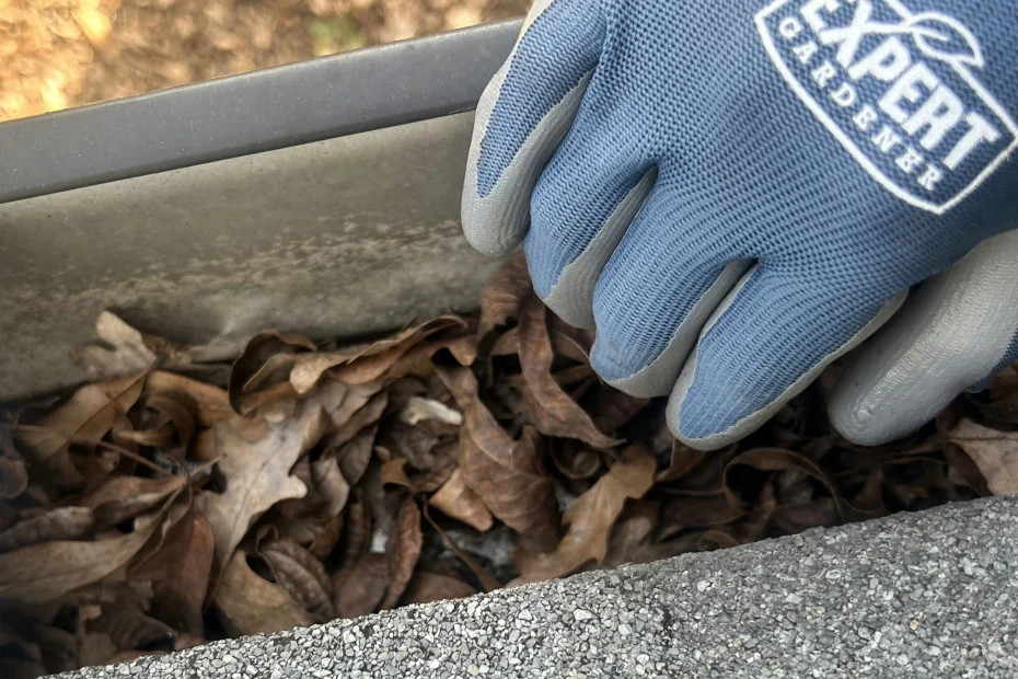 Gutter Cleaning Neuse