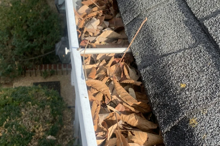 Gutter Cleaning Neuse