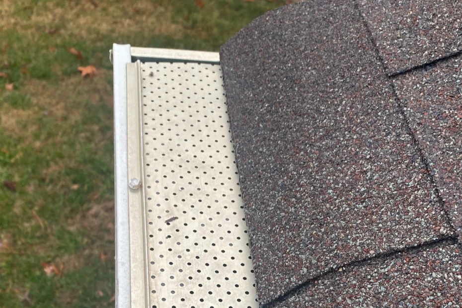 Gutter Cleaning Neuse