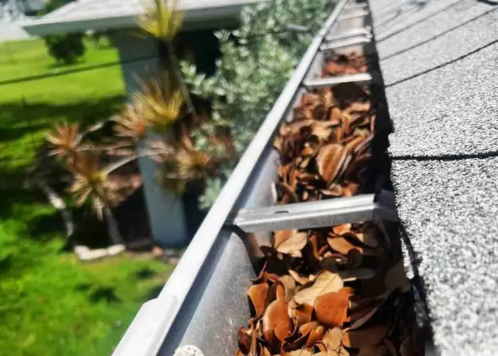 Gutter Cleaning Neuse home page